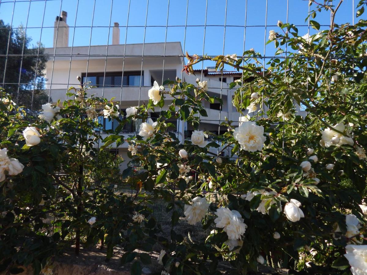 Οδυσσεια, Κοντά Σε Αεροδρόμιο, Λιμάνια Και Θάλασσες Lägenhet Keratea Exteriör bild