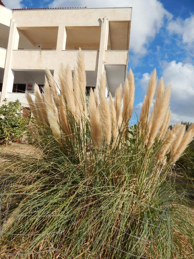 Οδυσσεια, Κοντά Σε Αεροδρόμιο, Λιμάνια Και Θάλασσες Lägenhet Keratea Exteriör bild
