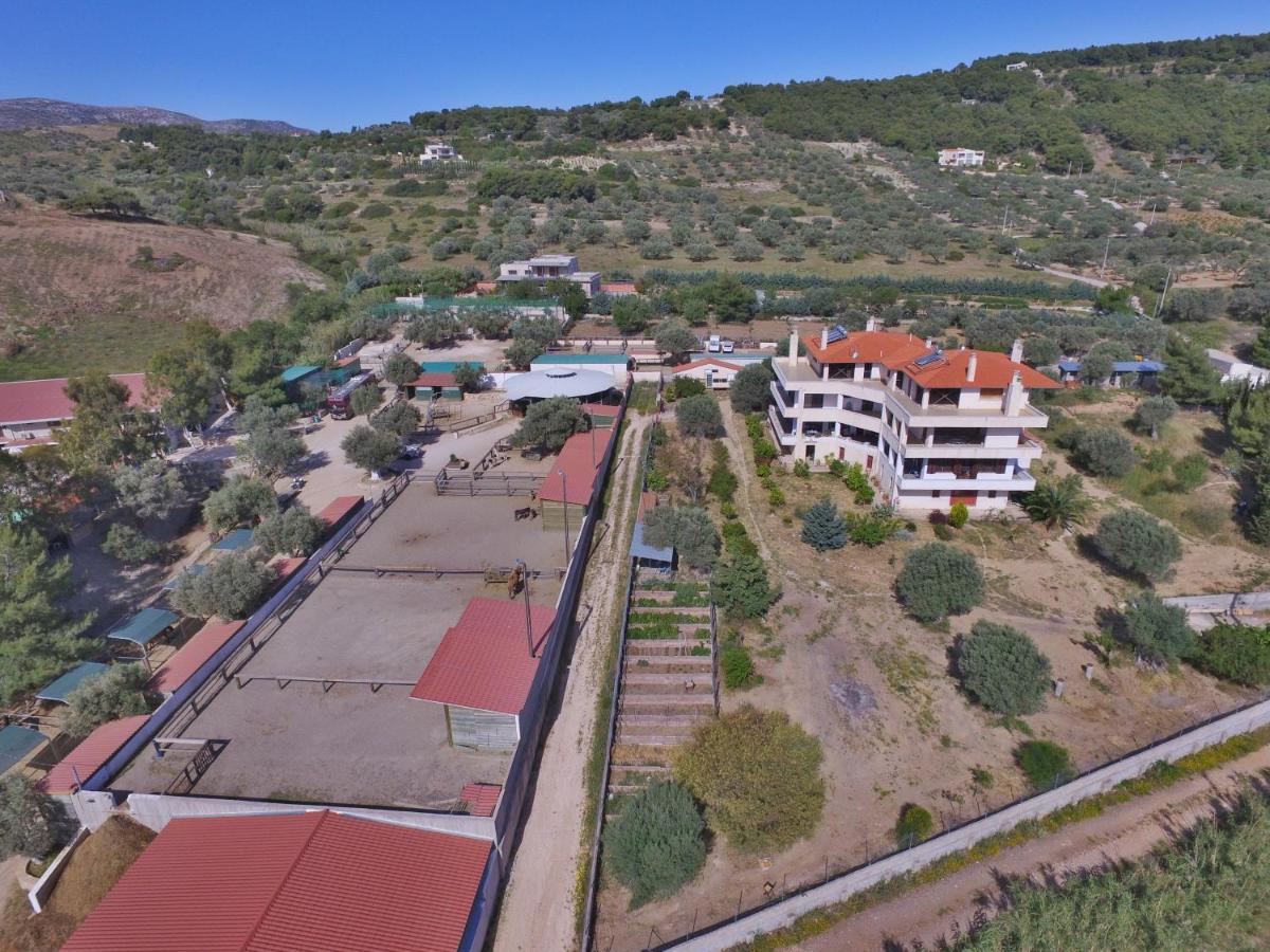 Οδυσσεια, Κοντά Σε Αεροδρόμιο, Λιμάνια Και Θάλασσες Lägenhet Keratea Exteriör bild
