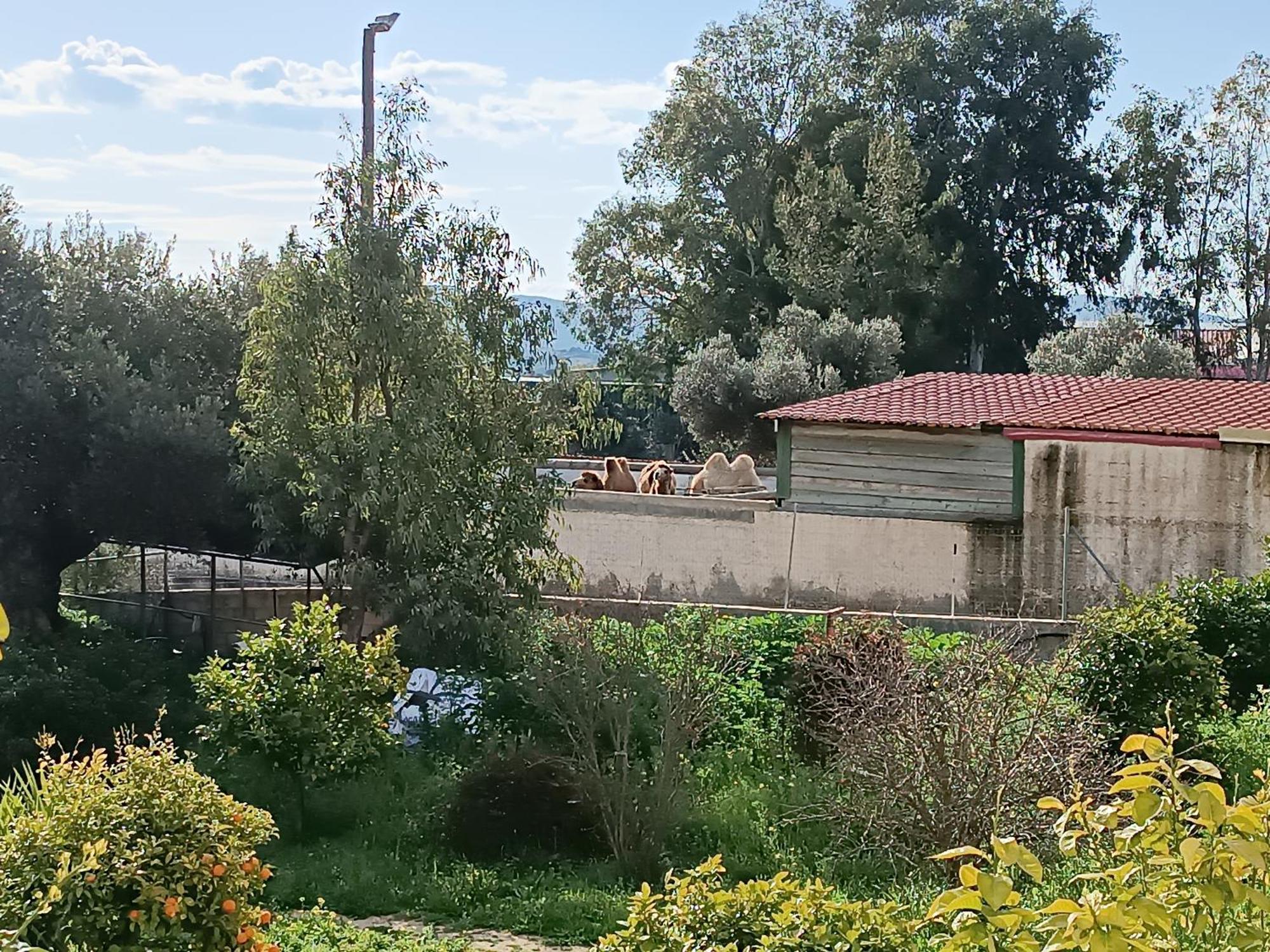 Οδυσσεια, Κοντά Σε Αεροδρόμιο, Λιμάνια Και Θάλασσες Lägenhet Keratea Exteriör bild